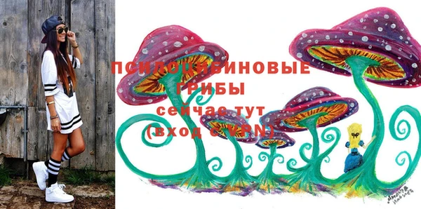 МДПВ Абинск