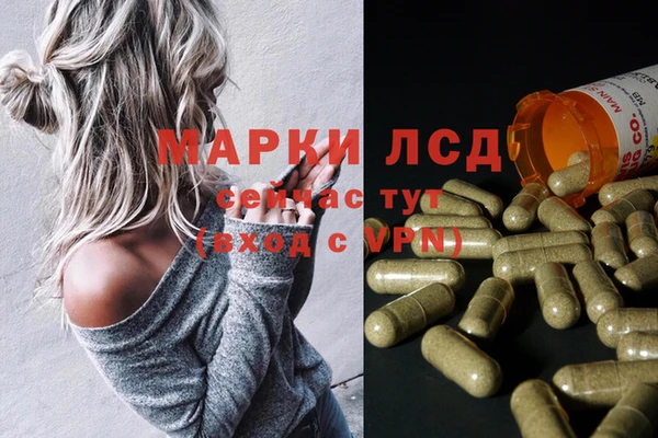 PSILOCYBIN Абдулино