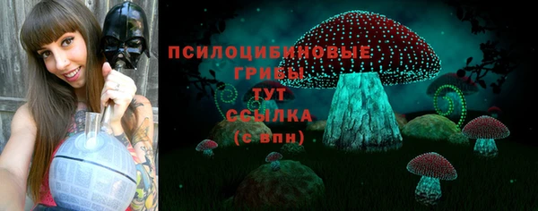 прущие крисы Алексеевка