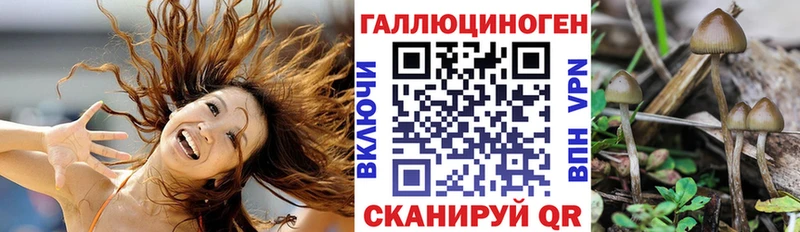 Псилоцибиновые грибы мицелий нарко площадка клад Яблоновский